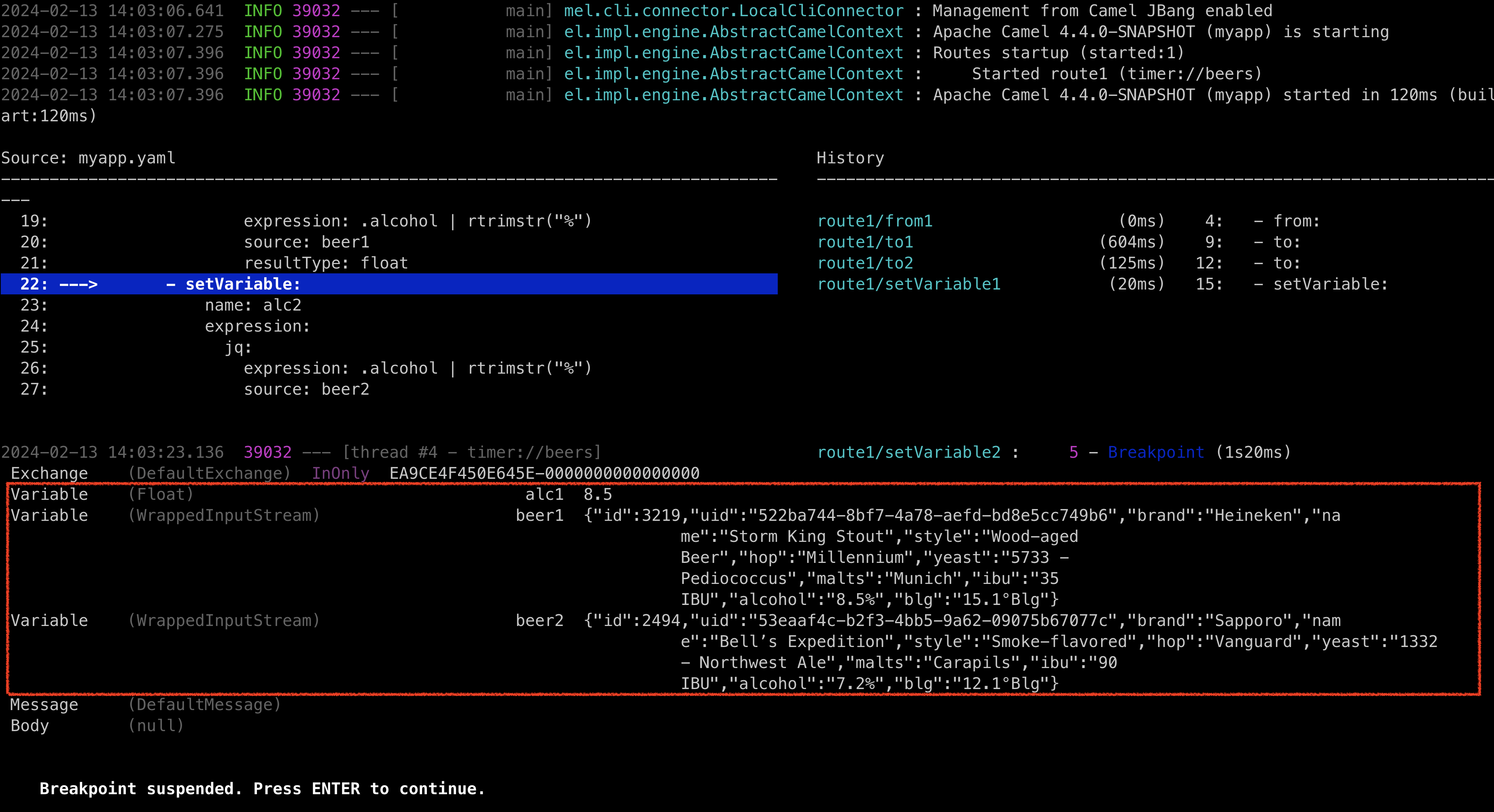 JBang Debug with Variables